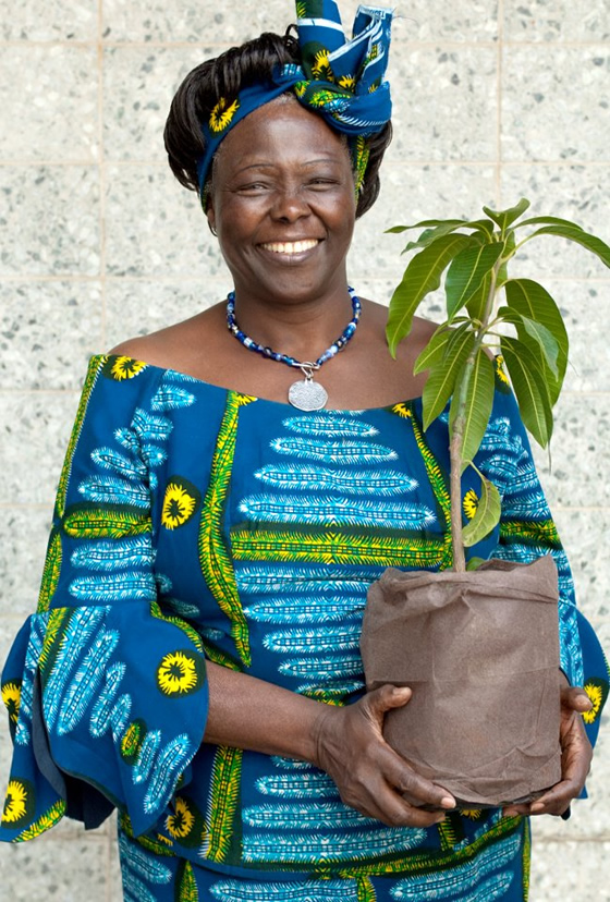 Wangari Maathai