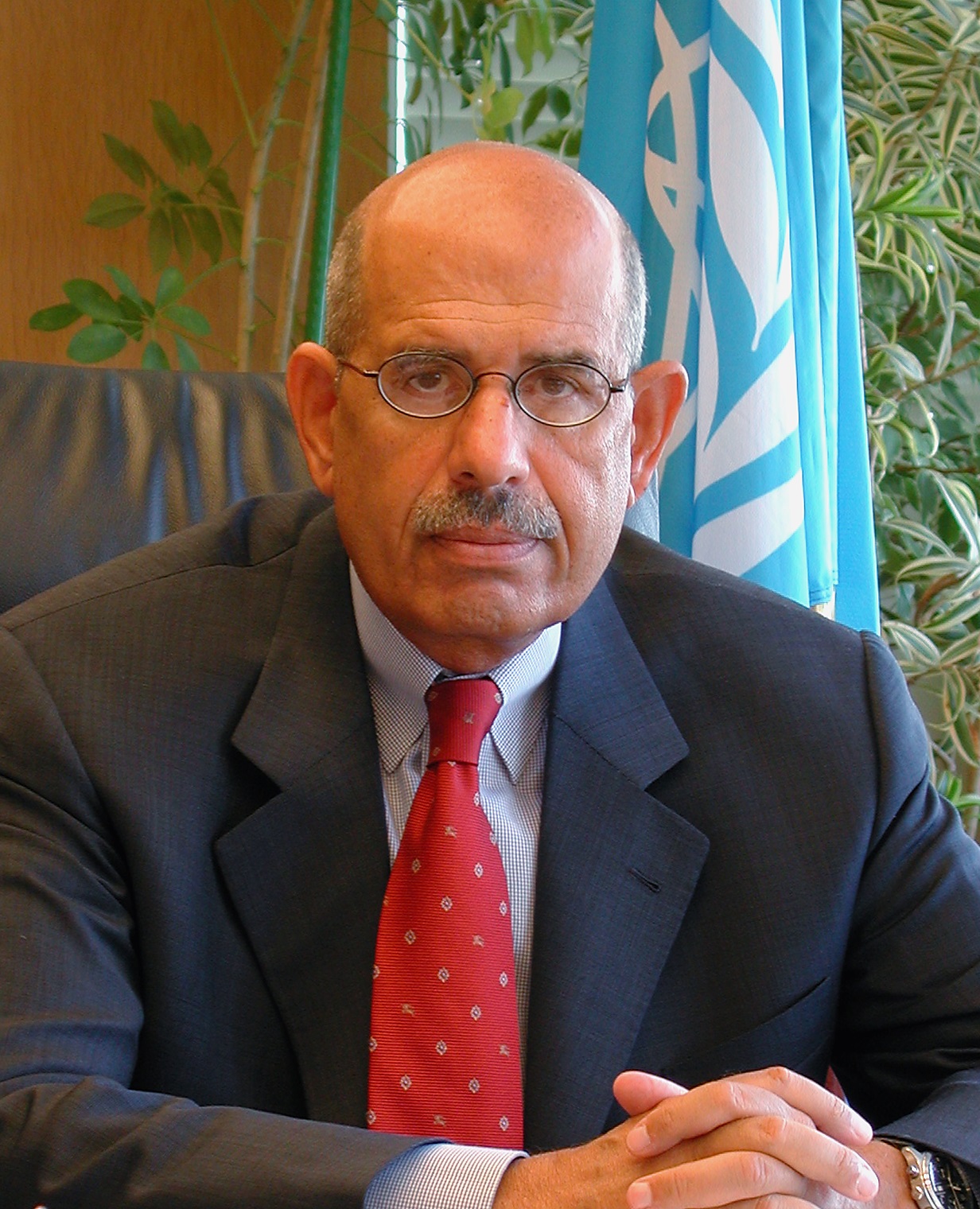 Mohamed ElBaradei