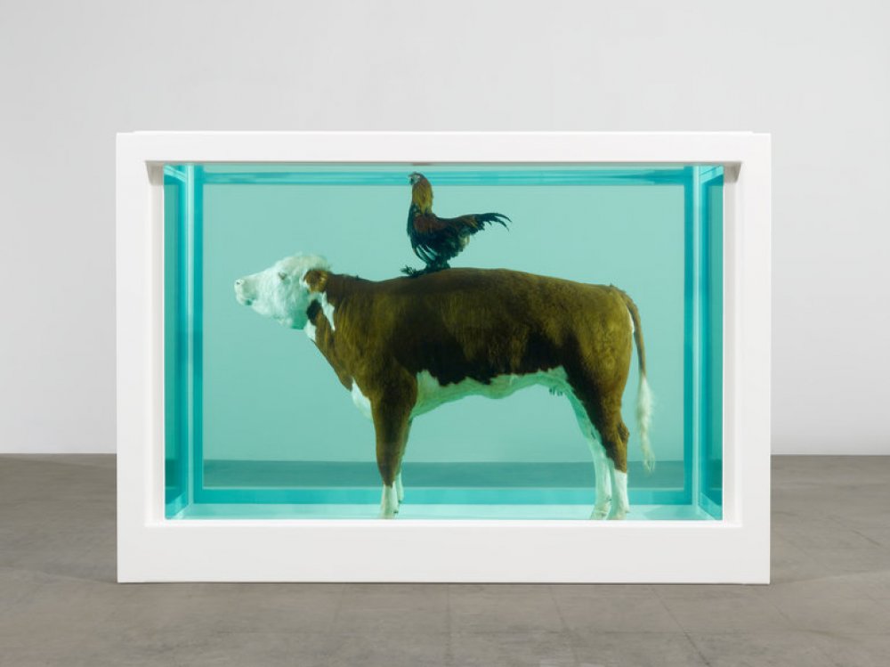 Damien Hirst