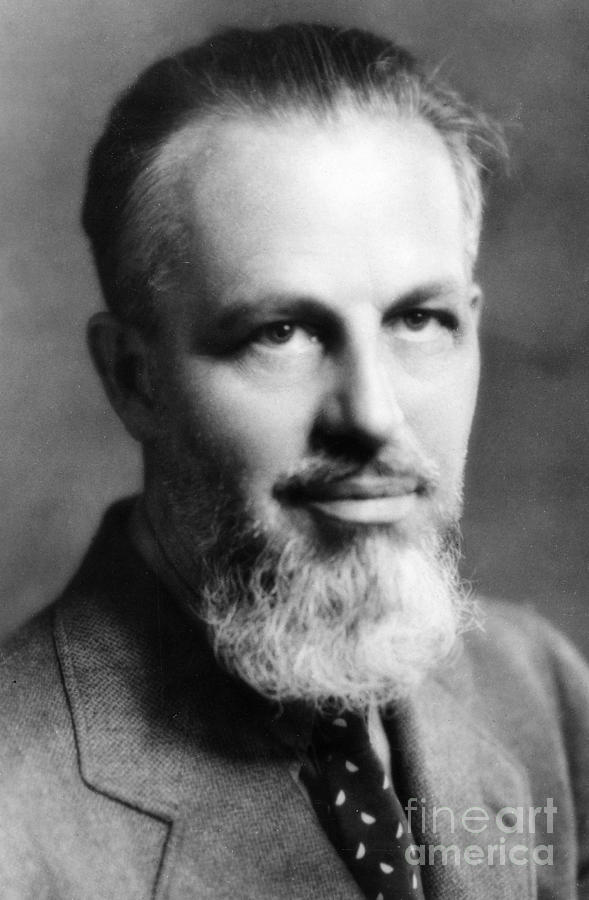 Rex Stout