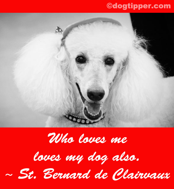 St. Bernard of Clairvaux