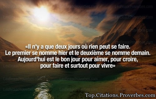 French Proverb