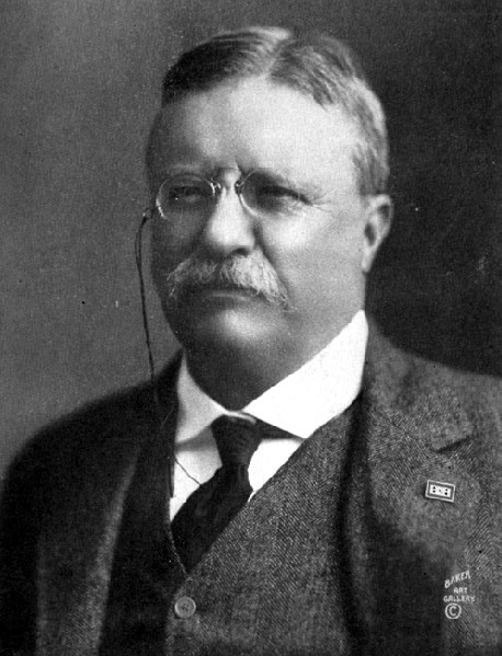 Theodore Roosevelt