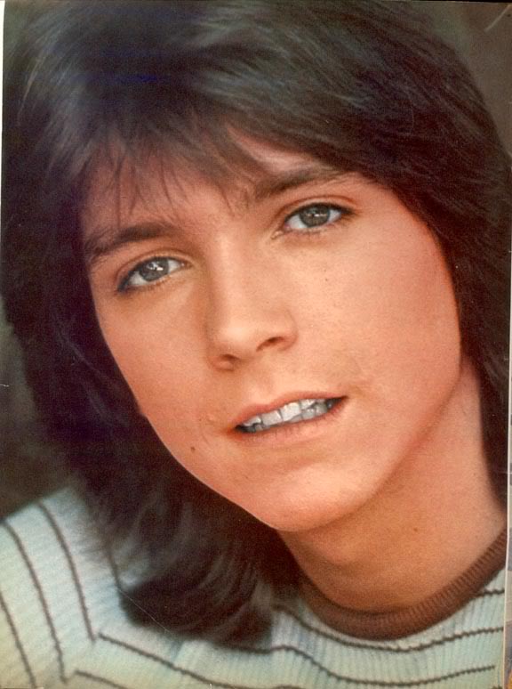 David Cassidy