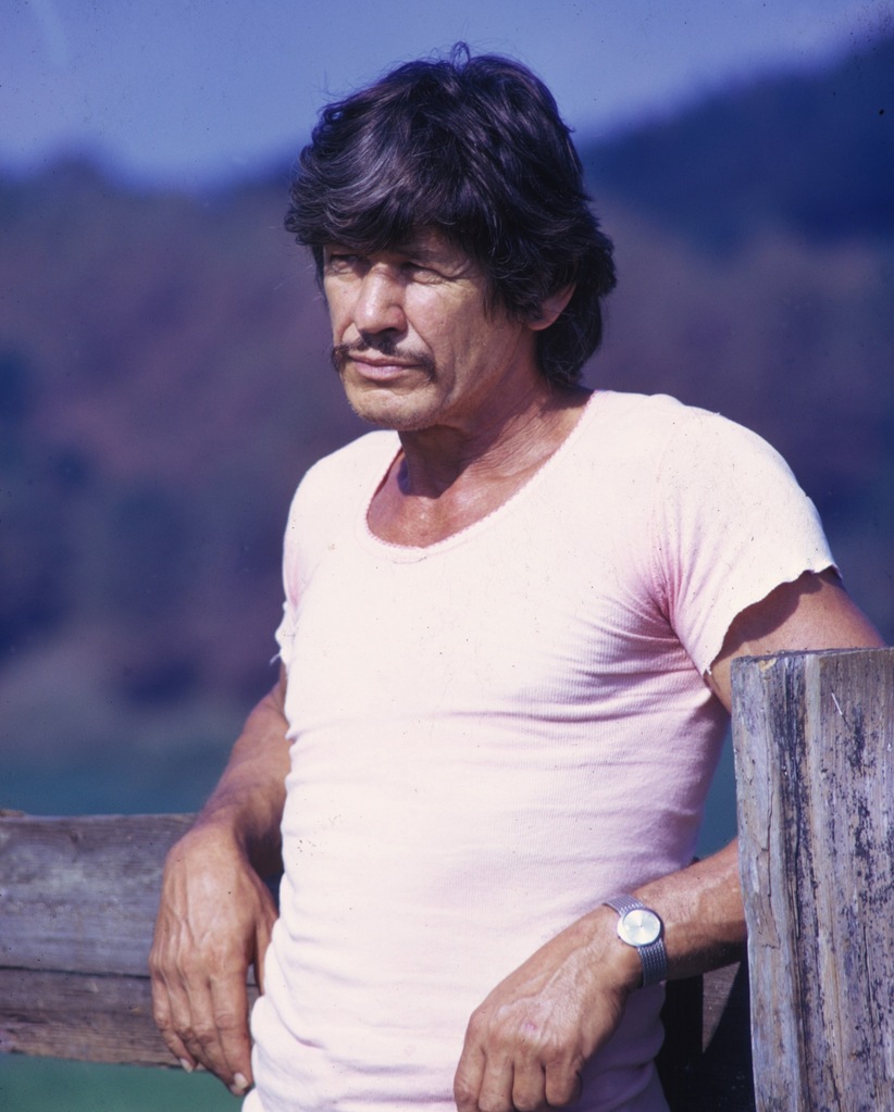 Charles Bronson