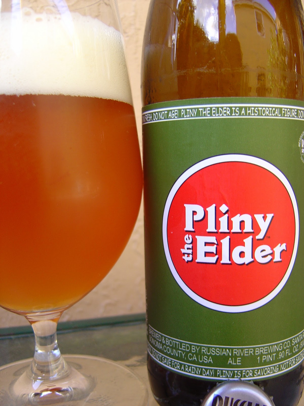 Pliny the Elder