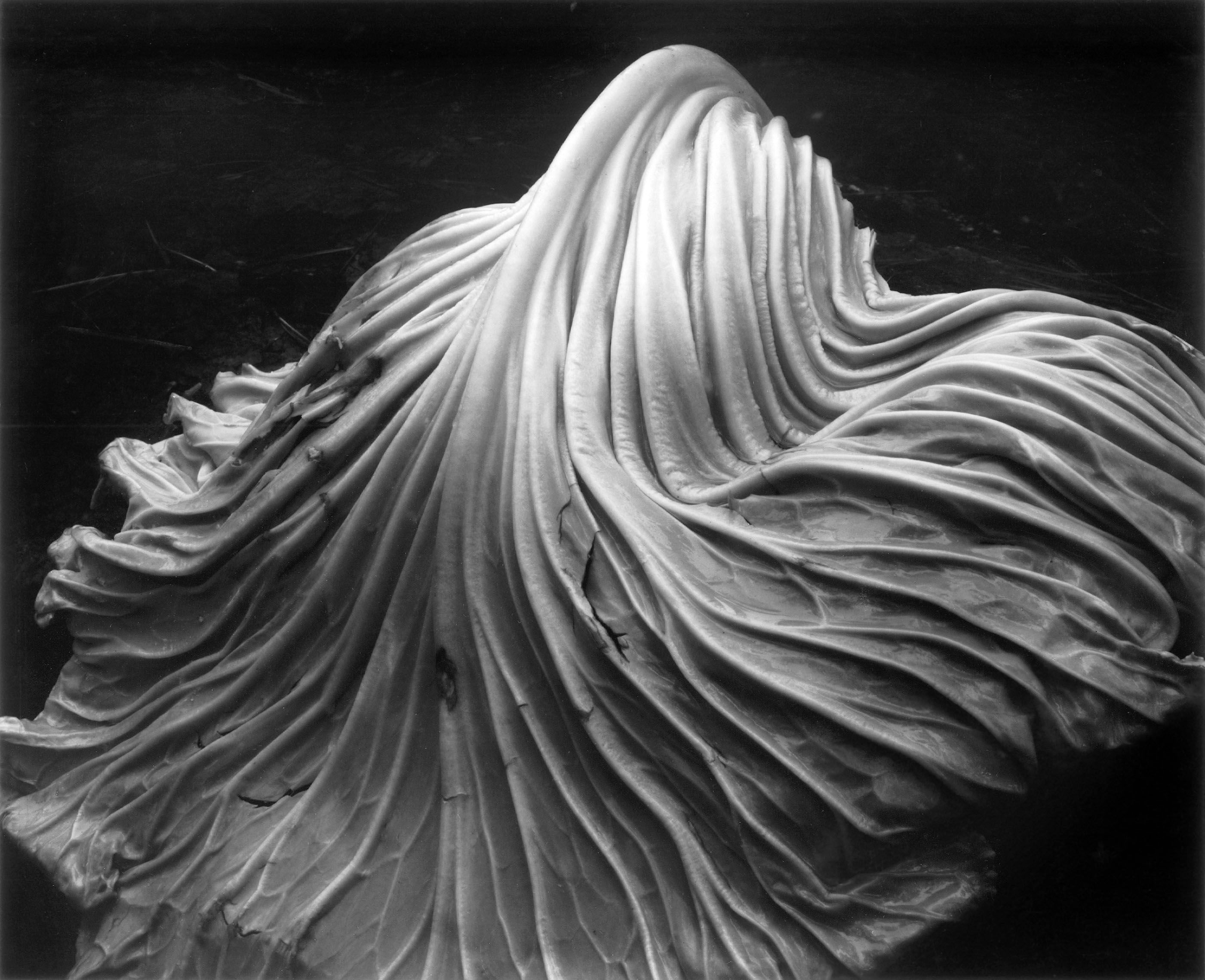 Edward Weston