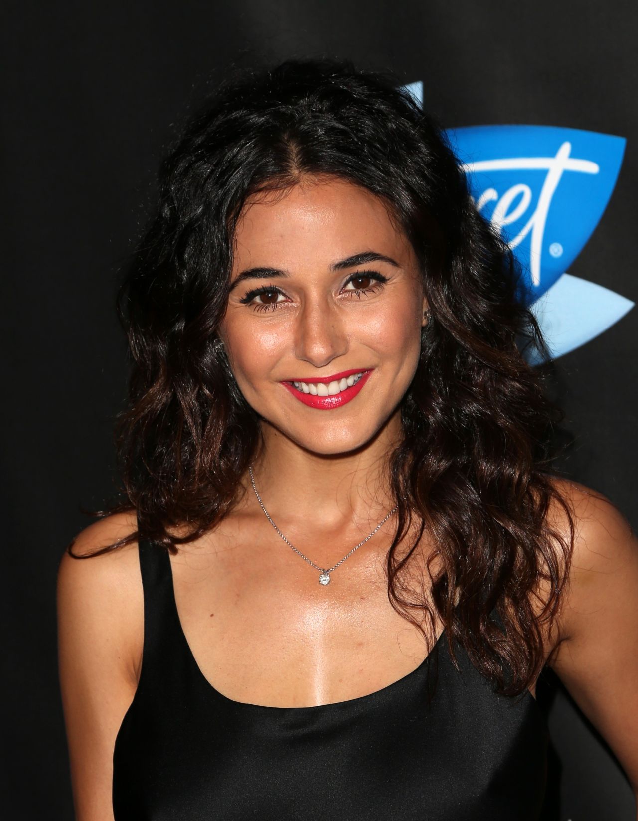 Emmanuelle Chriqui