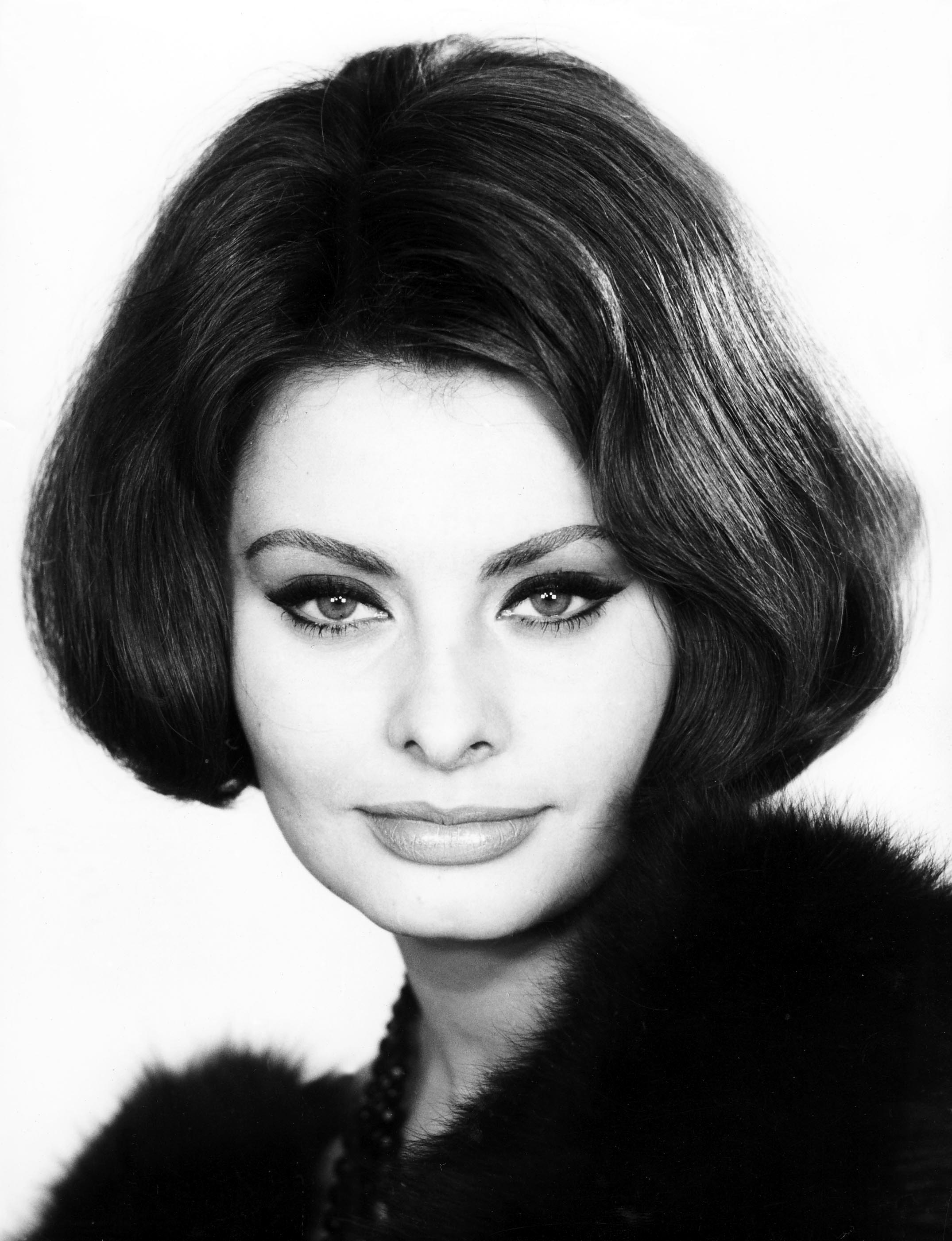 Sophia Loren