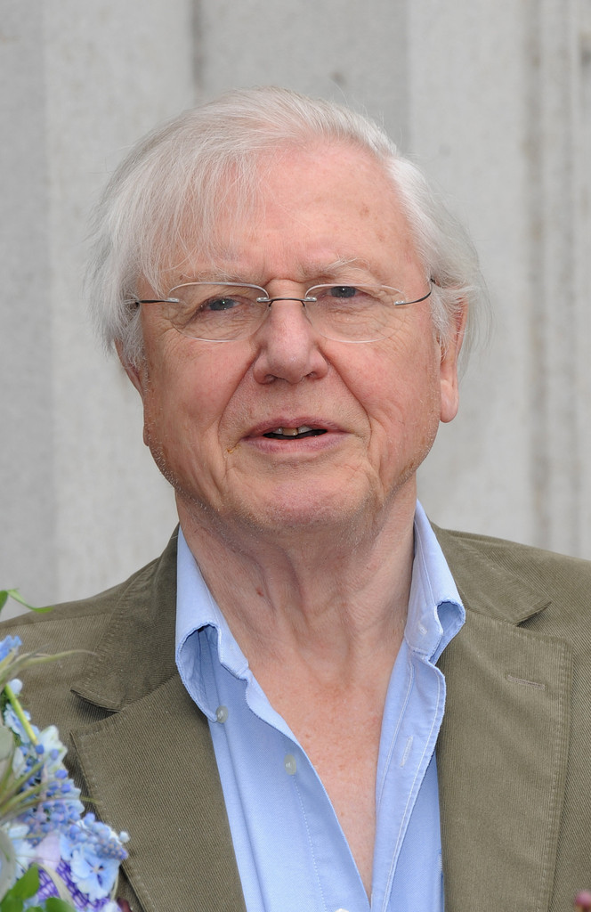 David Attenborough