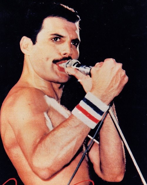 Freddie Mercury