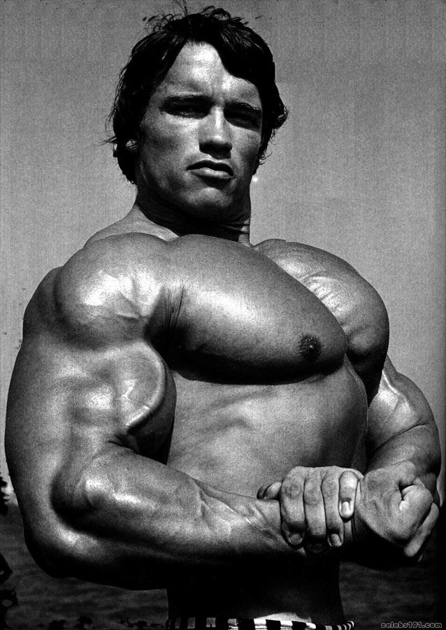 Arnold Schwarzenegger