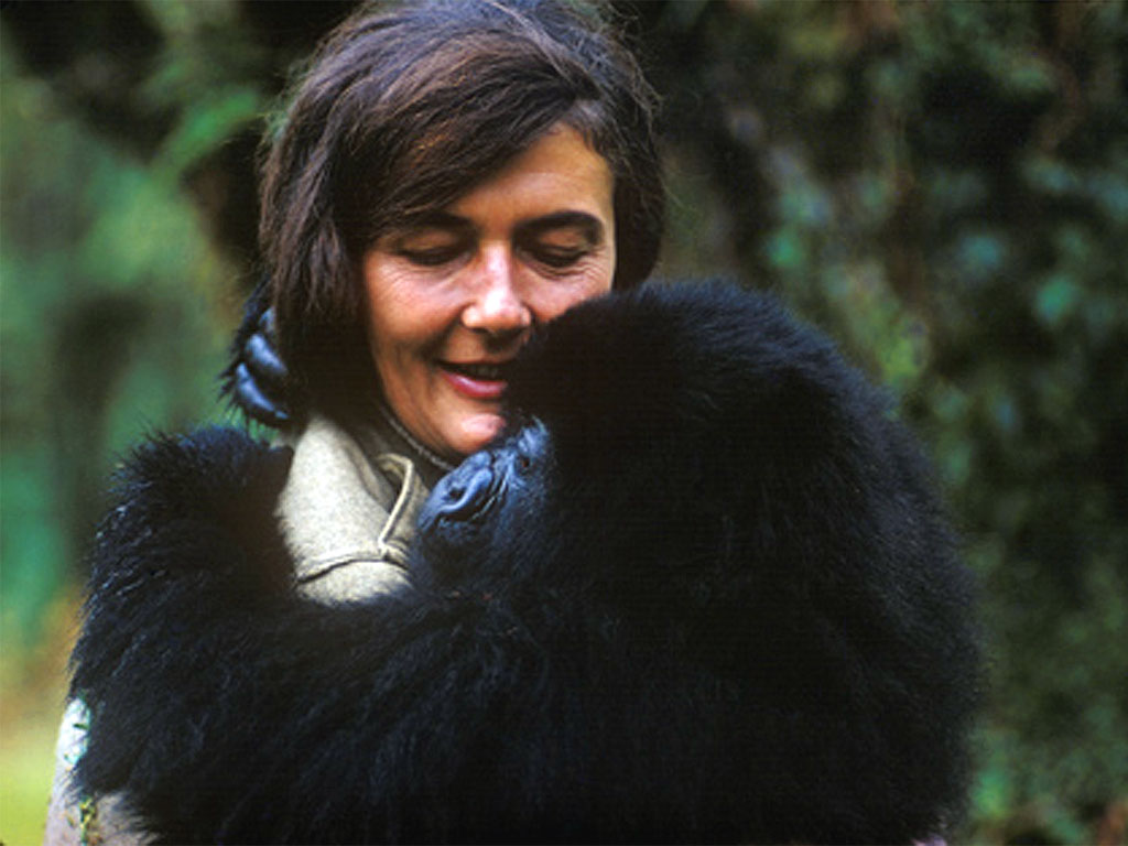 Dian Fossey