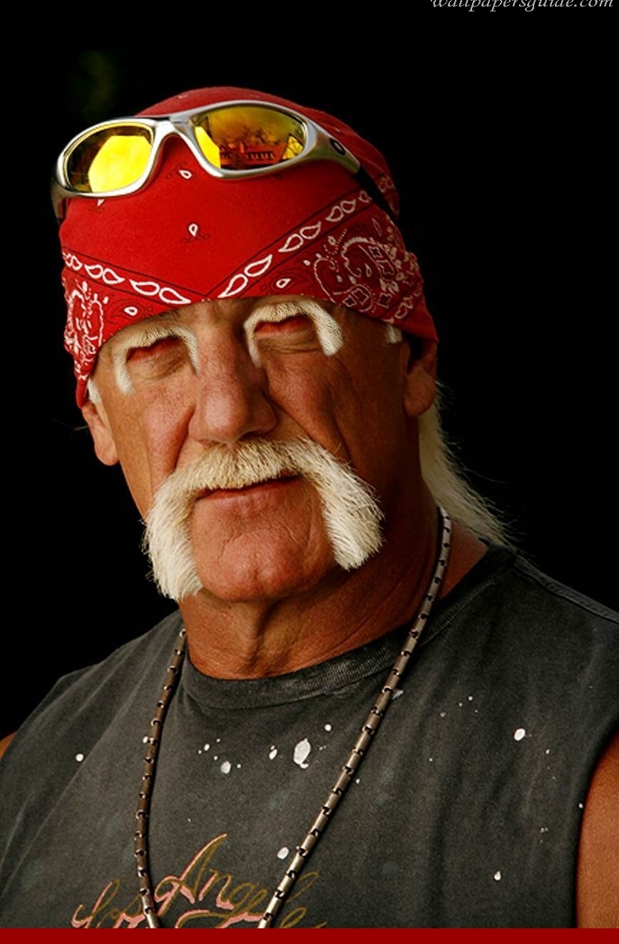 Hulk Hogan