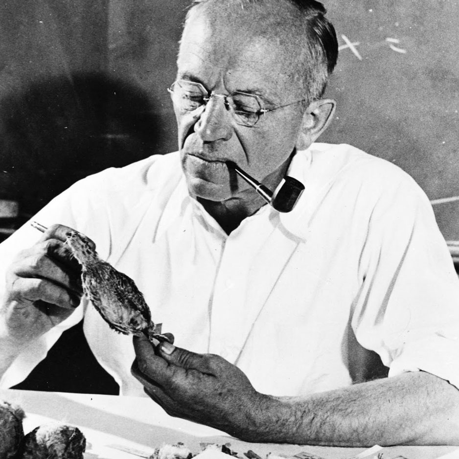 Aldo Leopold