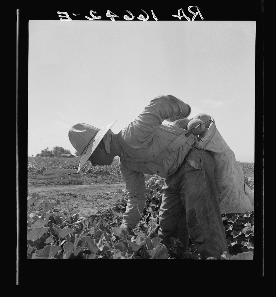 Dorothea Lange