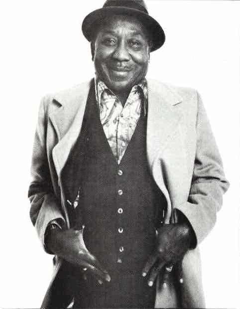 Muddy Waters