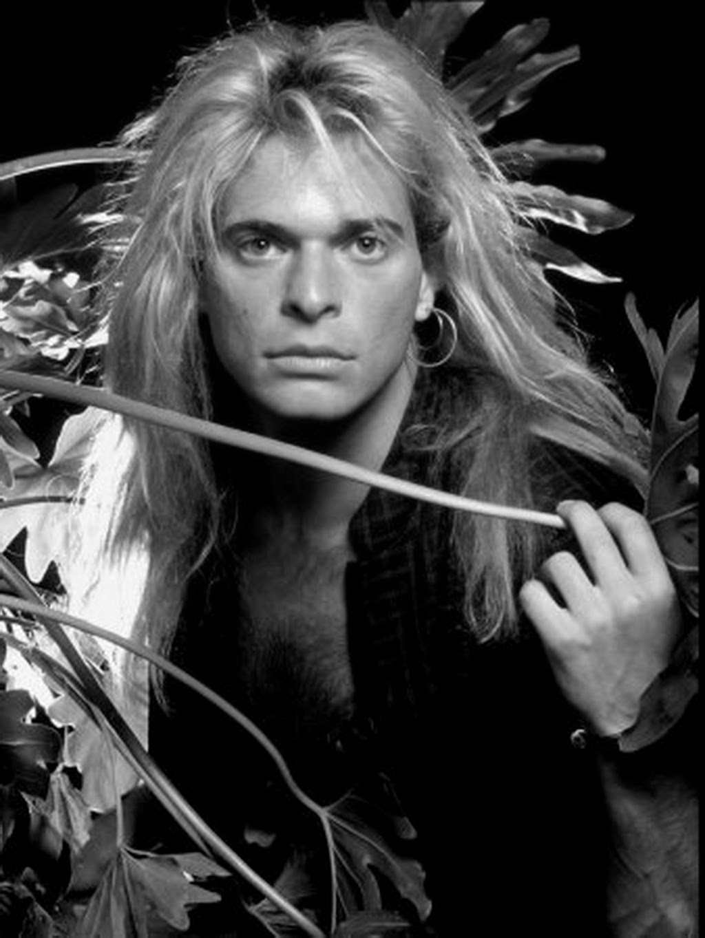 David Lee Roth