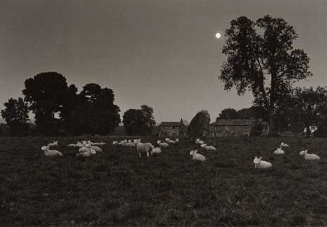 Fay Godwin