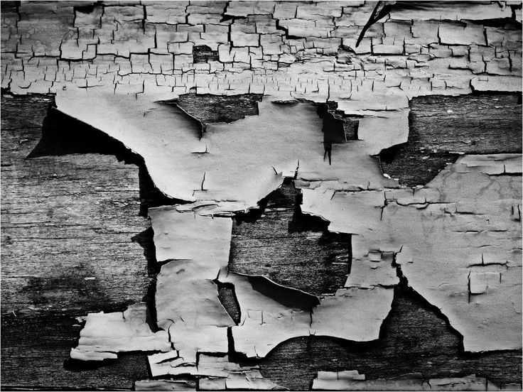 Aaron Siskind