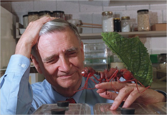 E. O. Wilson